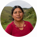 María V.